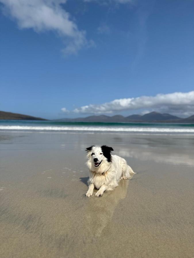 Kinnoull House Near Stornoway Hot-Tub Sauna Pet Friendly Garrabost المظهر الخارجي الصورة